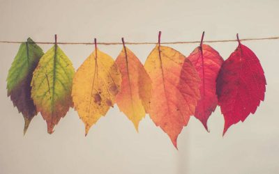 colored leaves hanging out to dry